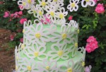 Daisywrap