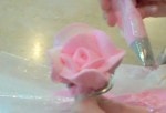 buttercreamrose52147 PM
