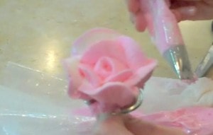 buttercreamrose52147 PM