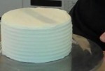Cakecomb100927-AM
