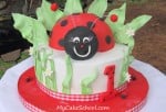 Ladybugcake