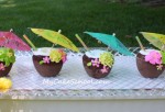 coconutdrinksIMG_3290