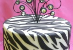 zebraIMG_3562