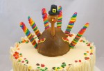 turkeycloseupIMG_4736