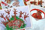 reindeer1