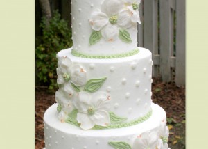 Dogwood-featured