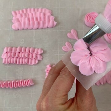 Piping Basics with Ruffle and Petal Tips