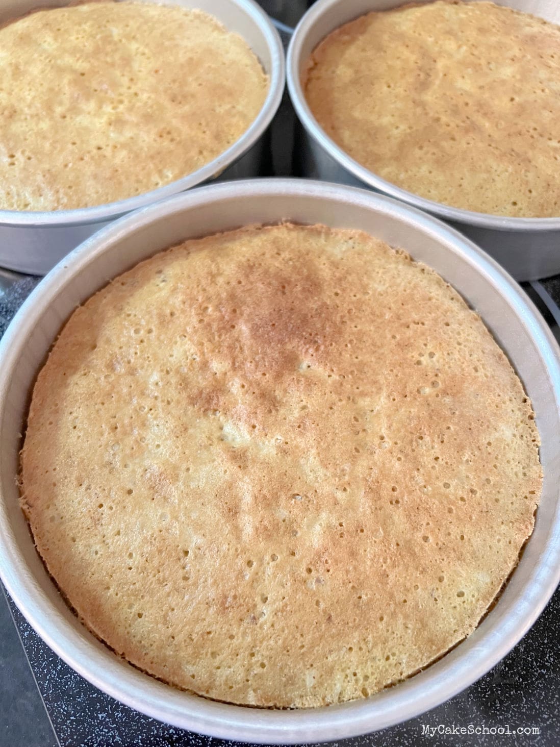 Freshly Baked Cake Layers in Pans