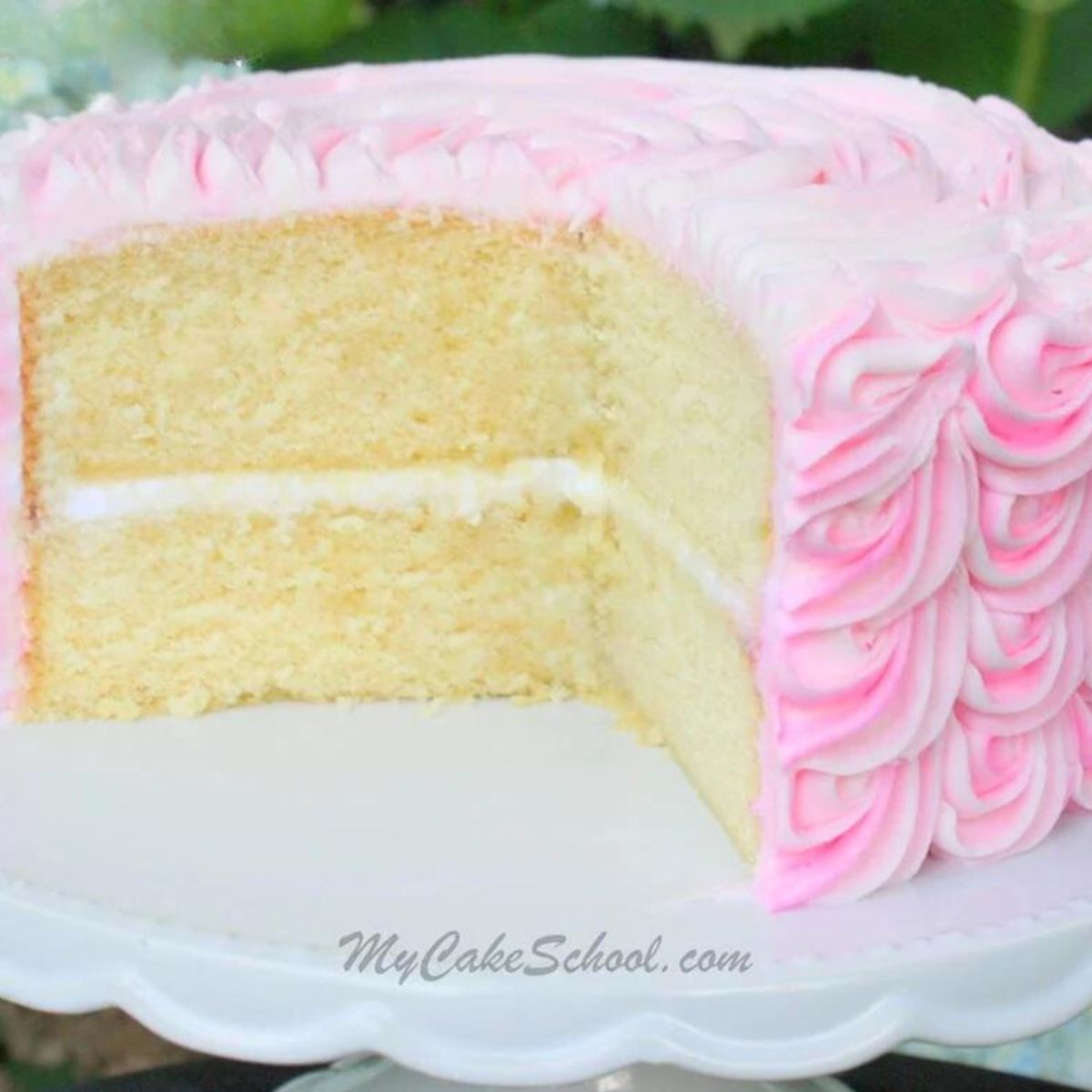 WASC Cake, sliced. Frosted with pink buttercream.