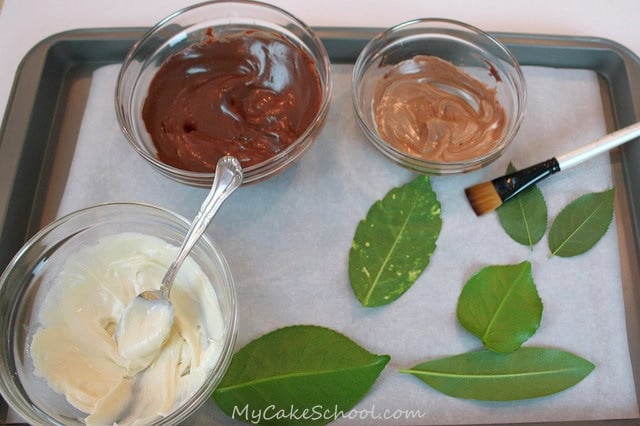 Learn to make gorgeous chocolate leaves for your autumn cakes in this free My Cake School tutorial! 
