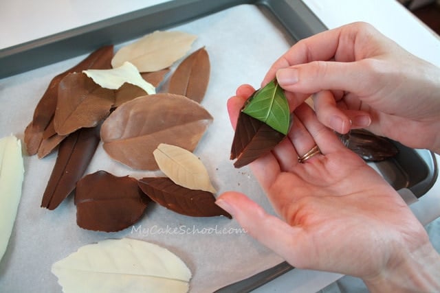 Learn to make gorgeous chocolate leaves for your autumn cakes in this free My Cake School tutorial! 