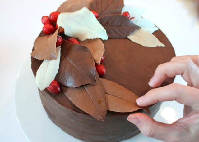 Learn to make gorgeous chocolate leaves for your autumn cakes in this free My Cake School tutorial! 