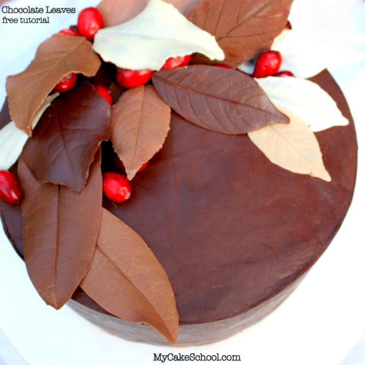 Elegant Chocolate Leaves