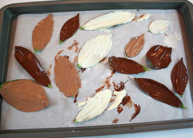 Learn to make gorgeous chocolate leaves for your autumn cakes in this free My Cake School tutorial! 