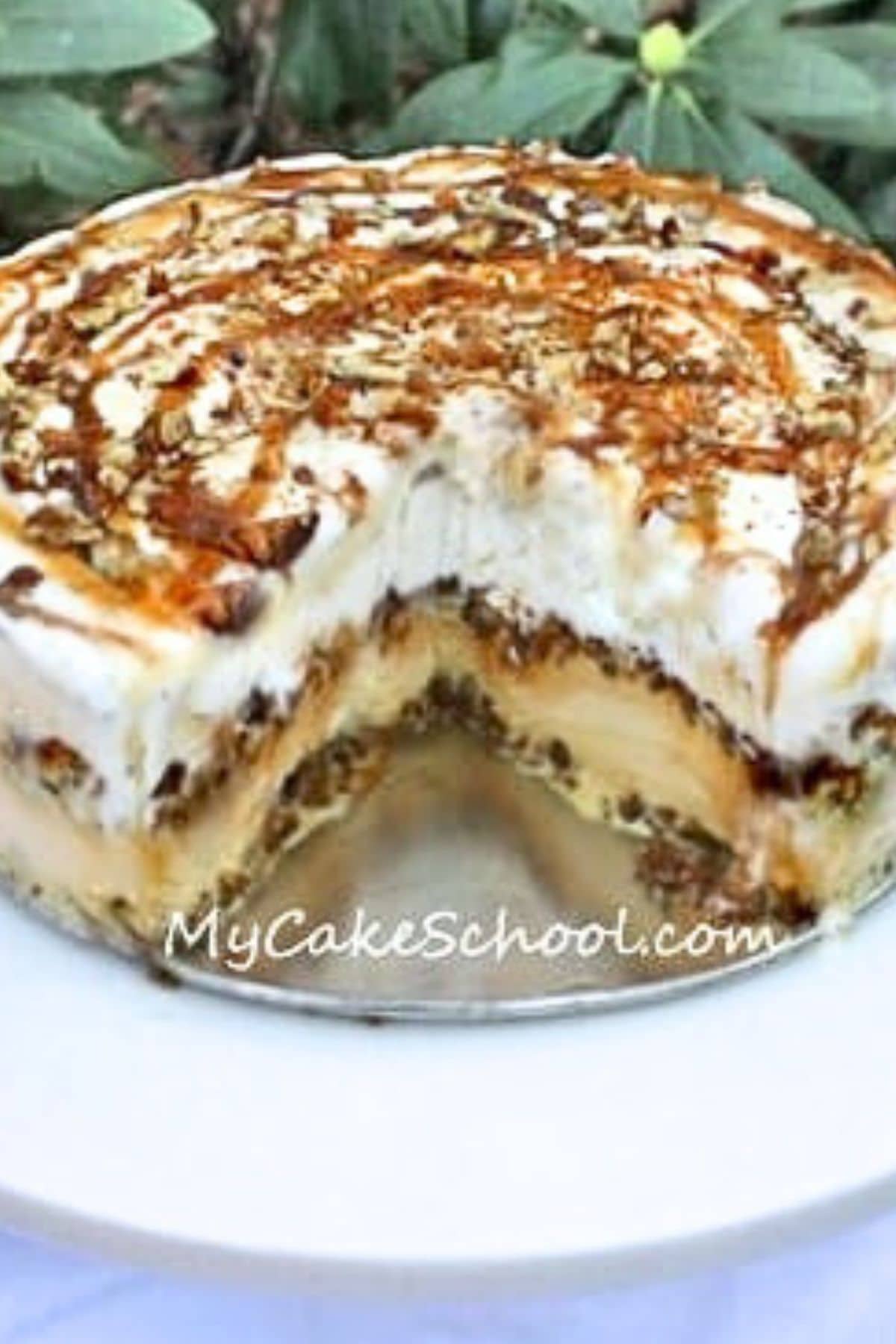 Butter Pecan Pumpkin Ice Cream Cake.