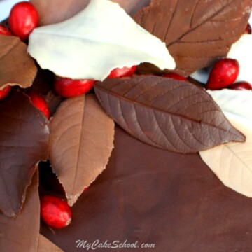 Learn how to make gorgeous Chocolate Leaves in this MyCakeSchool.com step by step cake tutorial! My Cake School Online Cake Tutorials, Cake Recipes, Cake Videos, and More!