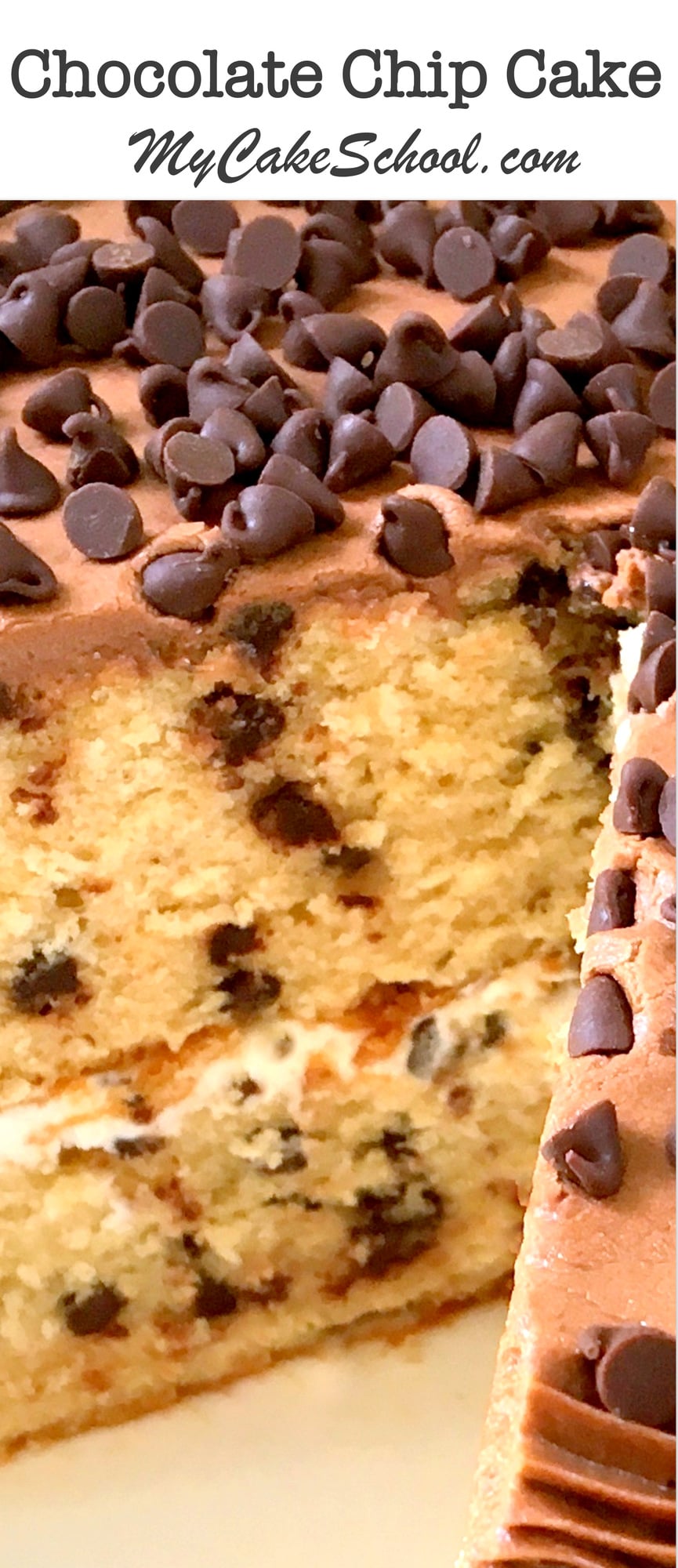 Chocolate Chip Cake Recipe | My Cake School