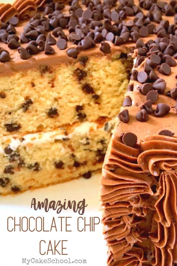 The BEST Homemade Chocolate Chip Cake Recipe!