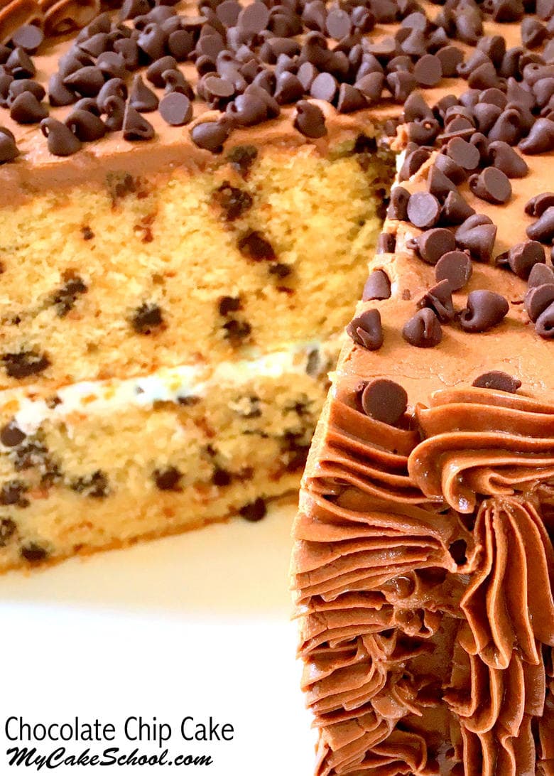 Moist and Delicious Chocolate Chip Cake Recipe by MyCakeSchool.com! 