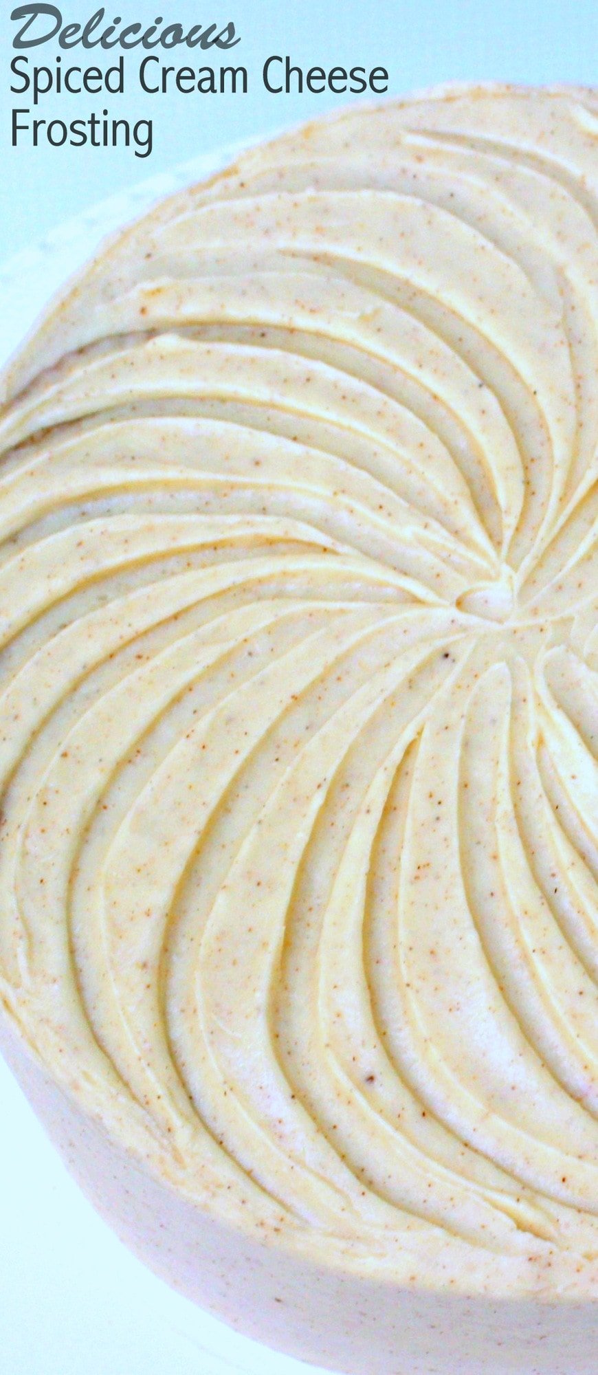 This easy Spiced Cream Cheese Frosting is so creamy and delicious! Tastes amazing with spice cakes and cupcakes! DELICIOUS Spiced Cream Cheese Frosting Recipe by MyCakeSchool.com! Pipes beautifully and wonderfully flavorful.