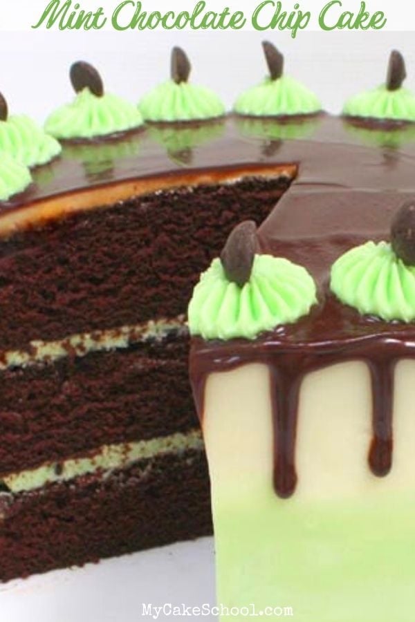 The BEST Mint Chocolate Chip Cake Recipe! So moist and decadent!