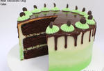 Moist and Decadent Mint Chocolate Chip Cake Recipe by MyCakeSchool.com! Rich Chocolate Cake Layers with Refreshing Mint Chocolate Chip Buttercream!