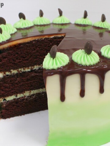 Moist and Decadent Mint Chocolate Chip Cake Recipe by MyCakeSchool.com! Rich Chocolate Cake Layers with Refreshing Mint Chocolate Chip Buttercream!