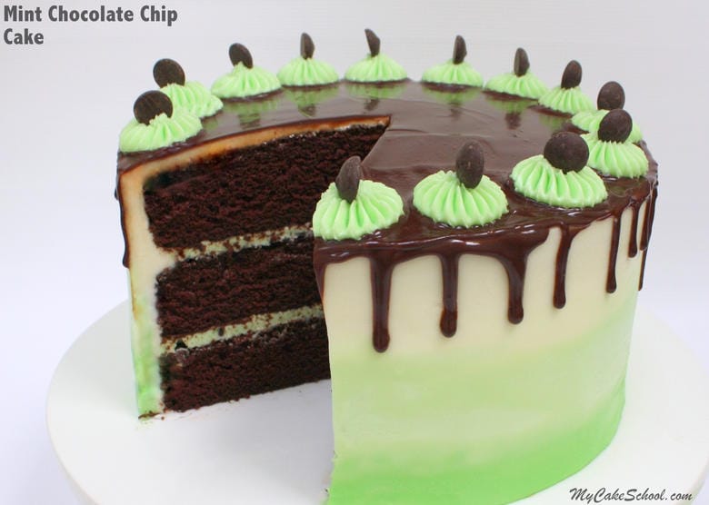 Moist and Decadent Mint Chocolate Chip Cake Recipe by MyCakeSchool.com! Rich Chocolate Cake Layers with Refreshing Mint Chocolate Chip Buttercream!