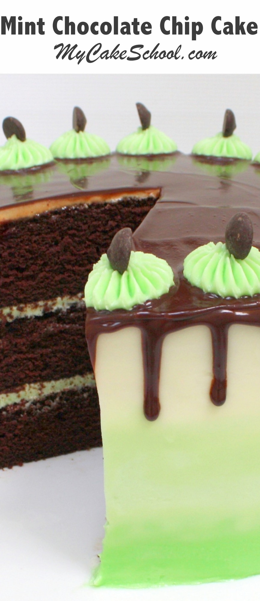 This Mint Chocolate Chip Cake Recipe is the BEST! So decadent. Sharing our cake recipe and free cake decorating video tutorial! MyCakeSchool.com.