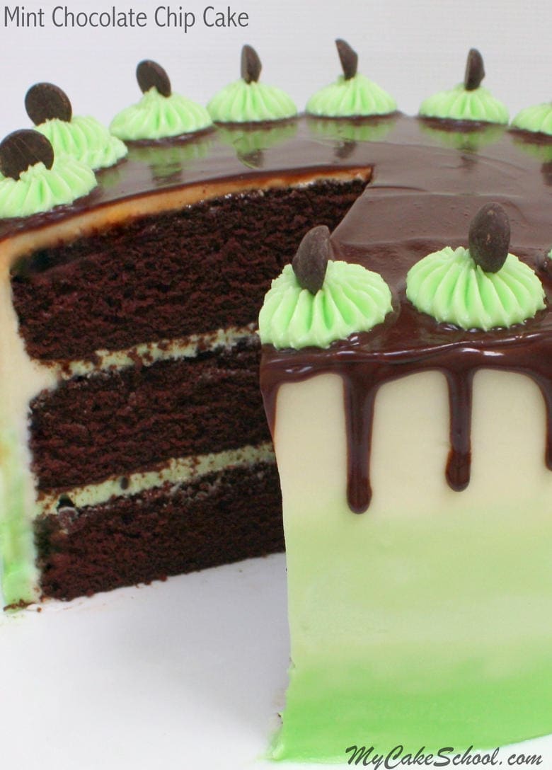Amazing Mint Chocolate Chip Cake Recipe by MyCakeSchool.com! Rich chocolate cake layers with cool mint chocolate chip buttercream! So moist and delicious!