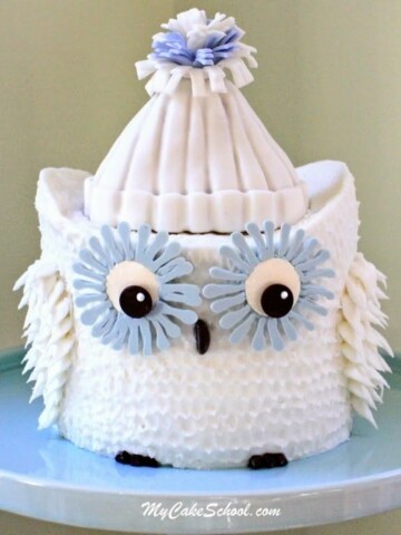 CUTE Owl Cake Video Tutorial by MyCakeSchool.com- Member Section