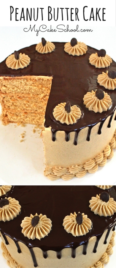 Amazing Scratch Peanut Butter Cake Recipe by MyCakeSchool.com.