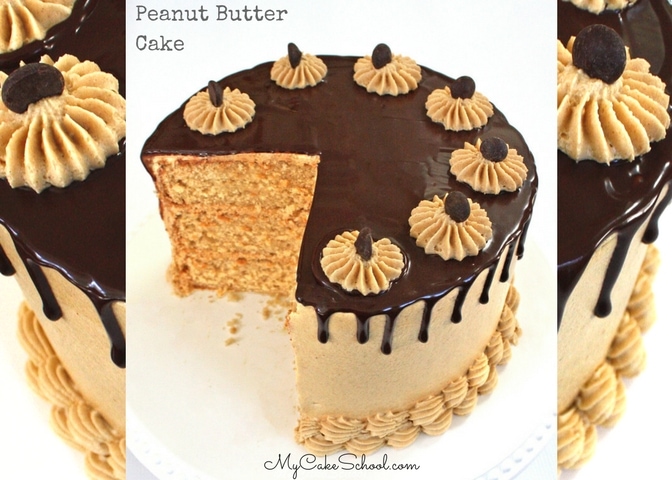 The BEST Peanut Butter Cake Recipe by MyCakeSchool.com!