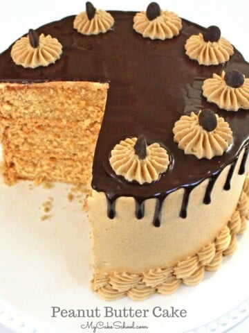 The BEST Peanut Butter Cake Recipe by MyCakeSchool.com