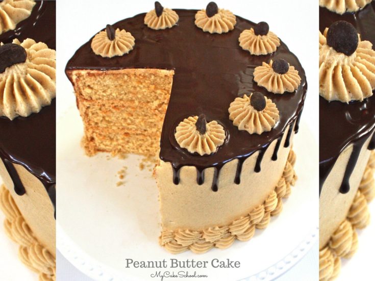 The BEST Peanut Butter Cake Recipe by MyCakeSchool.com