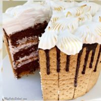 Amazing S'mores Cake Recipe by MyCakeSchool.com! A heavenly combination of chocolate, graham crackers, and a marshmallowy frosting!