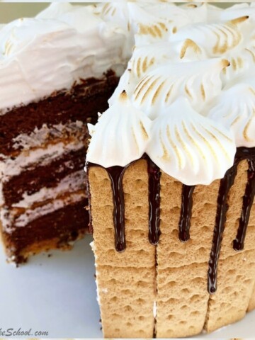 Amazing S'mores Cake Recipe by MyCakeSchool.com! A heavenly combination of chocolate, graham crackers, and a marshmallowy frosting!