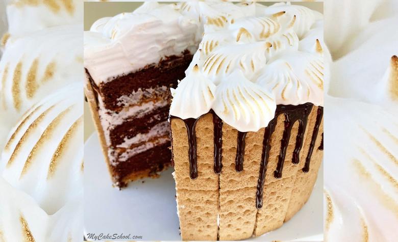 Amazing S'mores Cake Recipe by MyCakeSchool.com! A heavenly combination of chocolate, graham crackers, and a marshmallowy frosting!