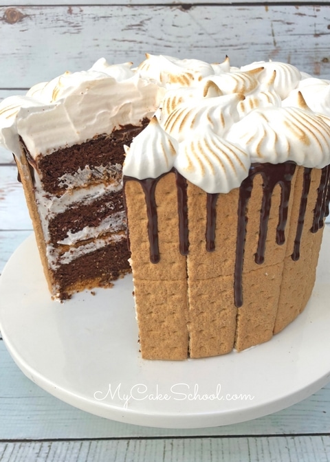 Amazing Homemade S'mores Cake Recipe by MyCakeSchool.com