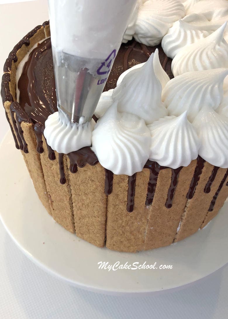 Amazing S'mores Cake Recipe by MyCakeSchool.com