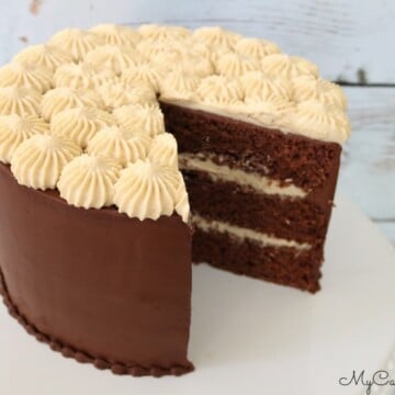 Chocolate Cake with Caramel Mousse Filling