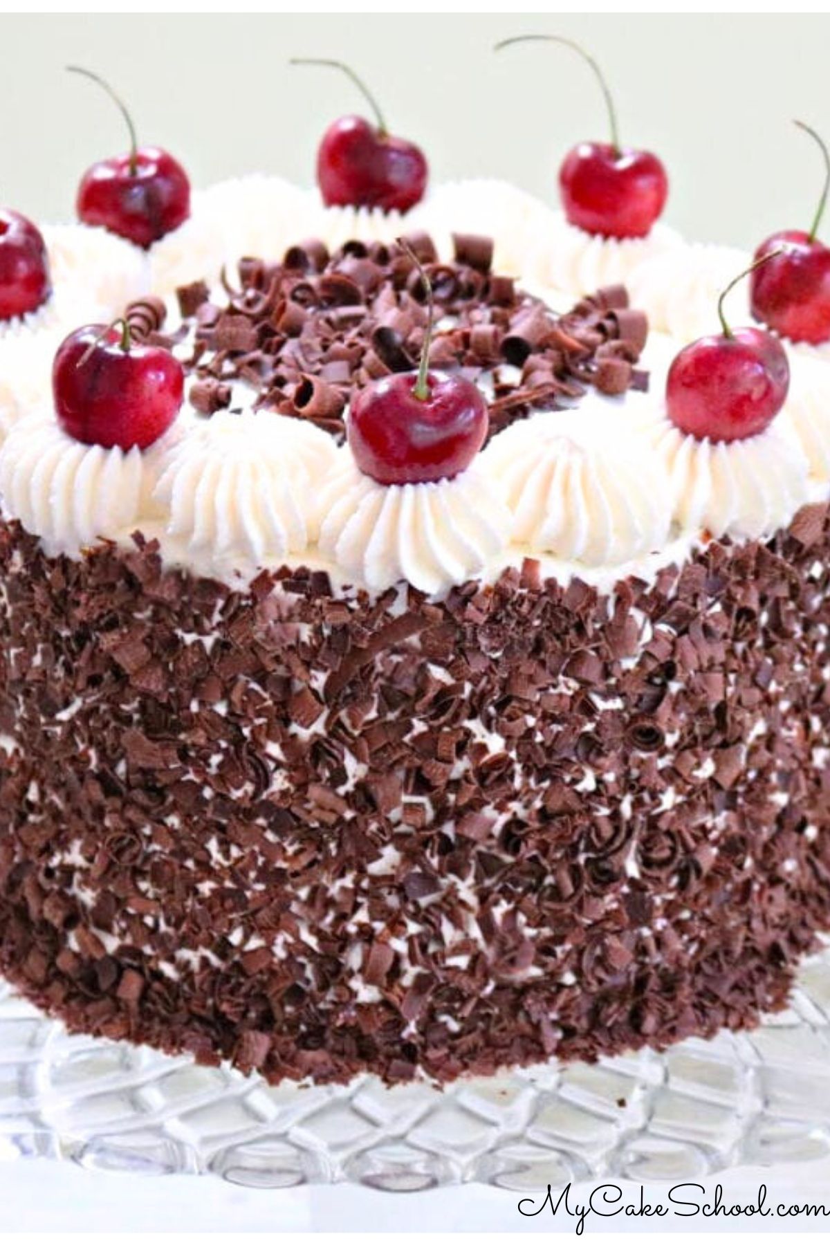 Black Forest Cake on glass pedestal, covered with chocolate shavings, cherries, and whipped cream.