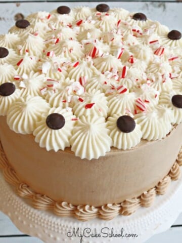 Moist and Delicious Peppermint Mocha Layer Cake Recipe