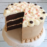 Peppermint Mocha Cake Recipe