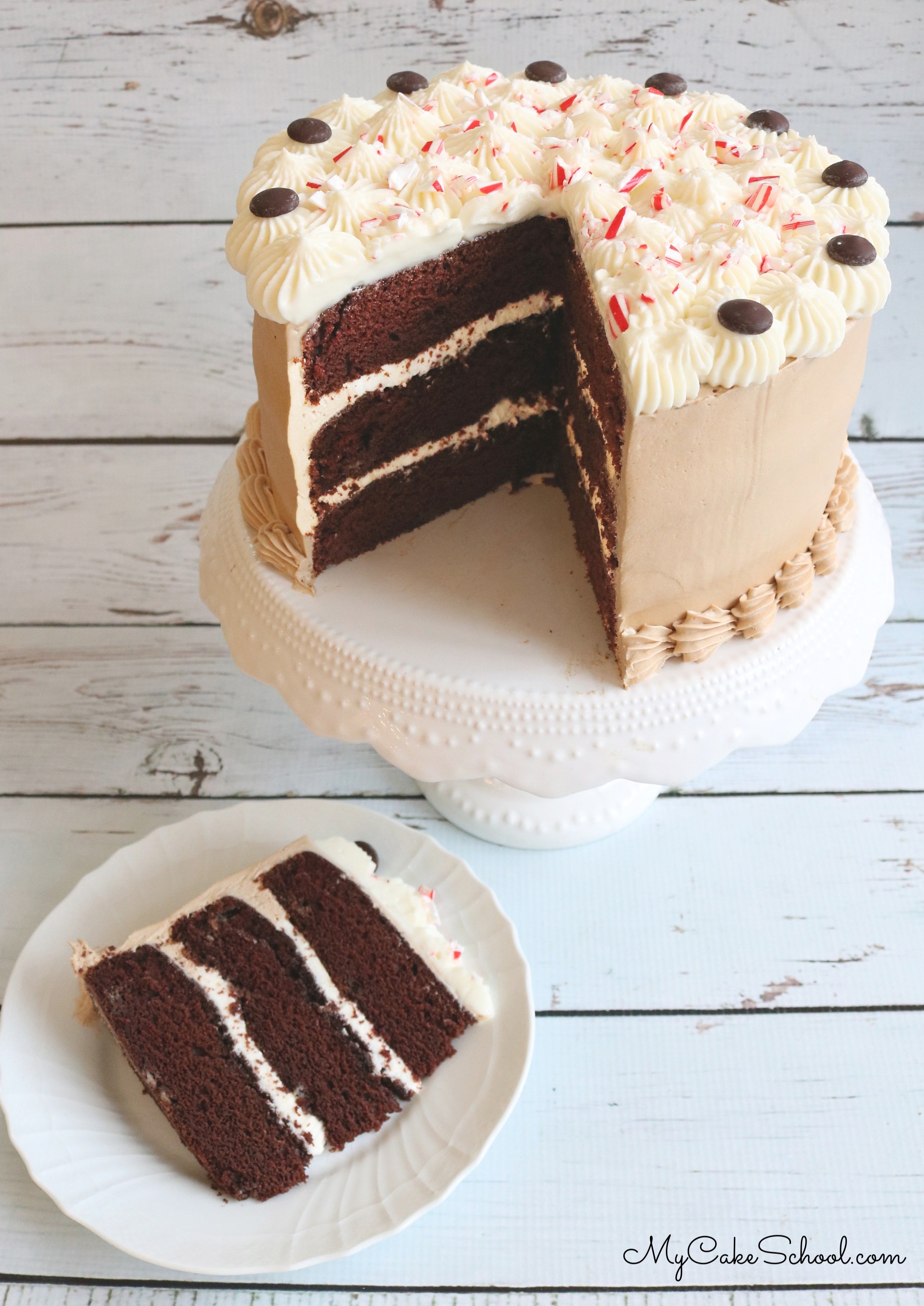Moist and Delicious Peppermint Mocha Cake Recipe- This is the perfect dessert for winter and Christmas gatherings!