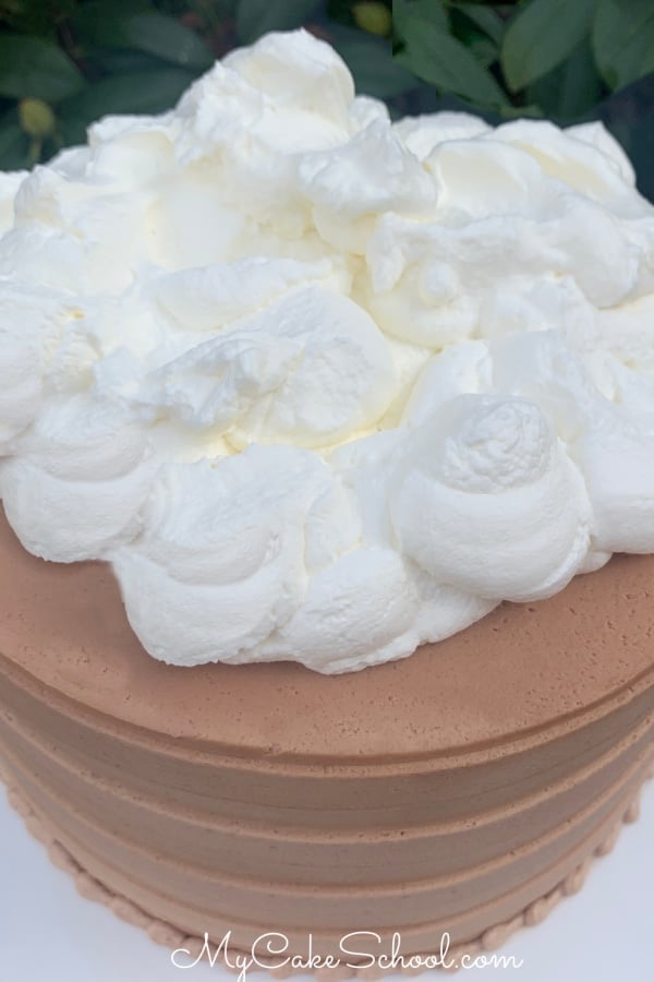 Hot Chocolate Layer Cake topped with Whipped Cream!