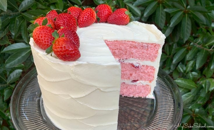 Delicious Strawberry Champagne Layer Cake