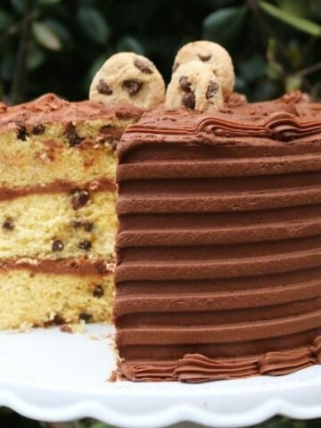 Chocolate Chip Cake Mix Recipe