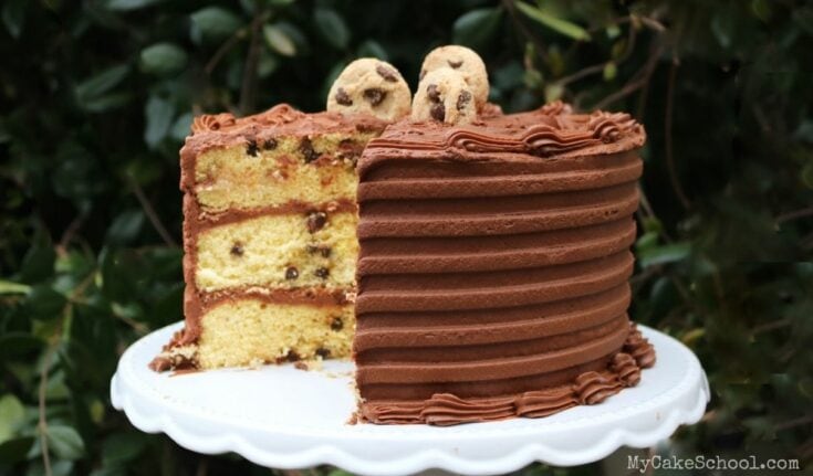 Chocolate Chip Cake Mix Recipe