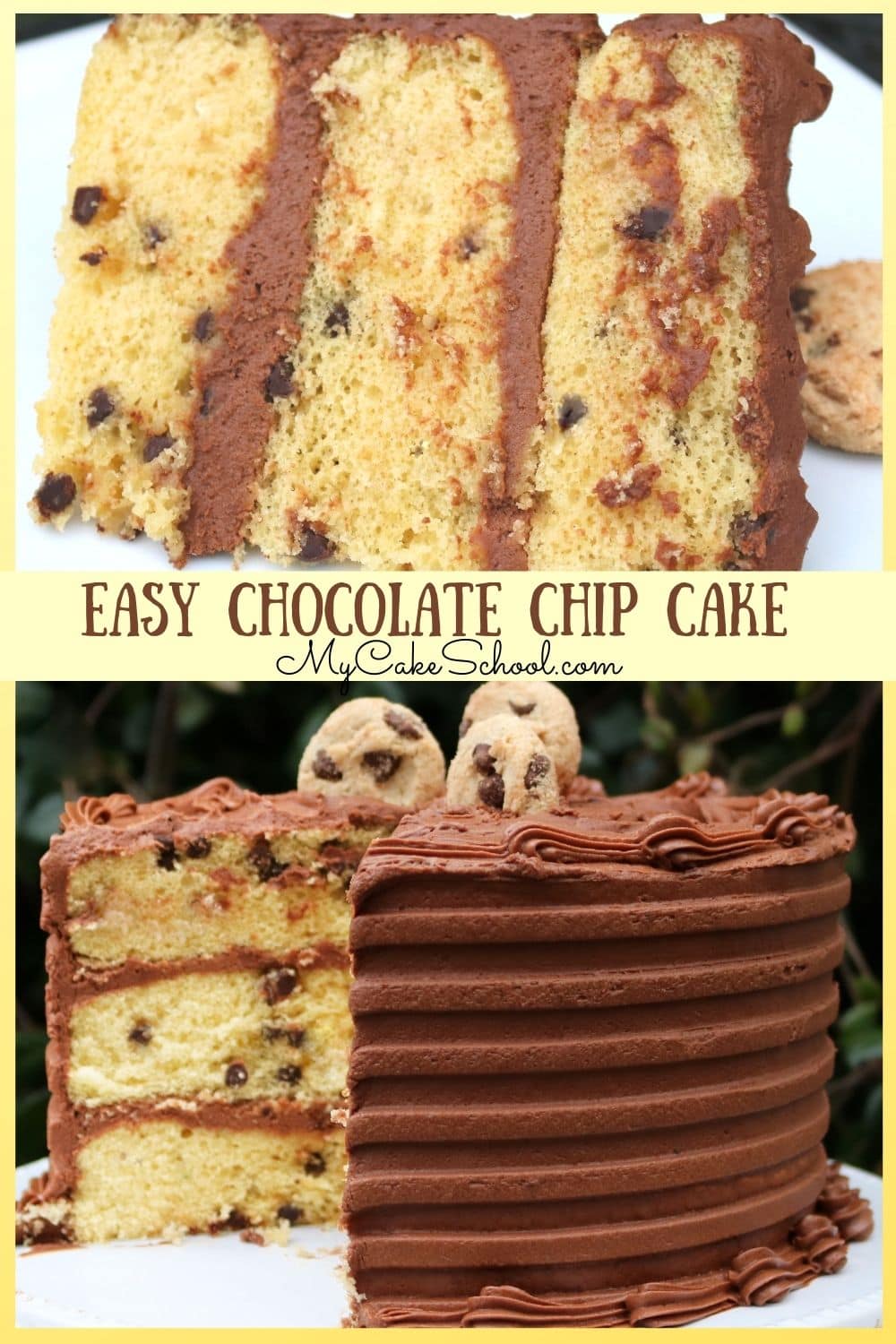 Easy Chocolate Chip Cake- Doctored Cake Mix